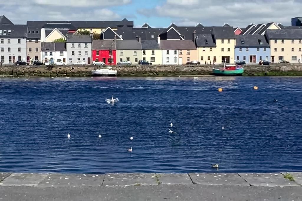 Dominick Street Apartments Galway Exterior foto
